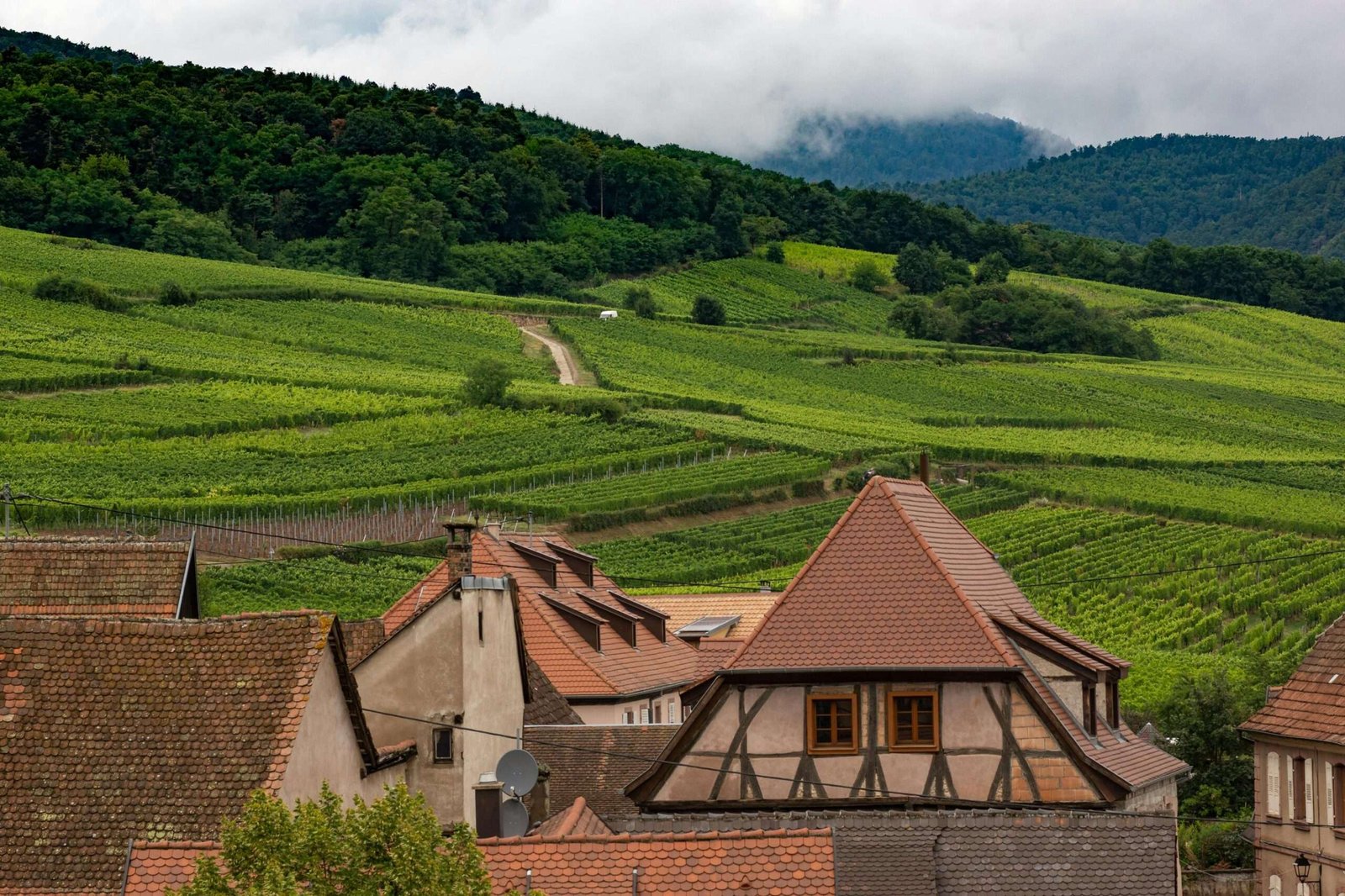 alsace avec un chauffeur privé